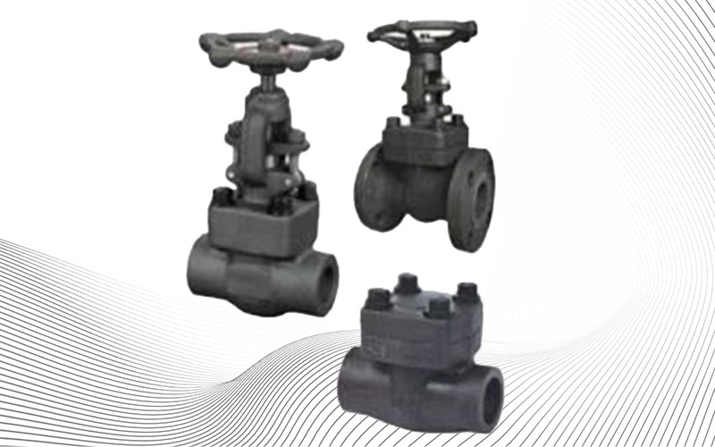 Forged Gate / Globe / Check Valve